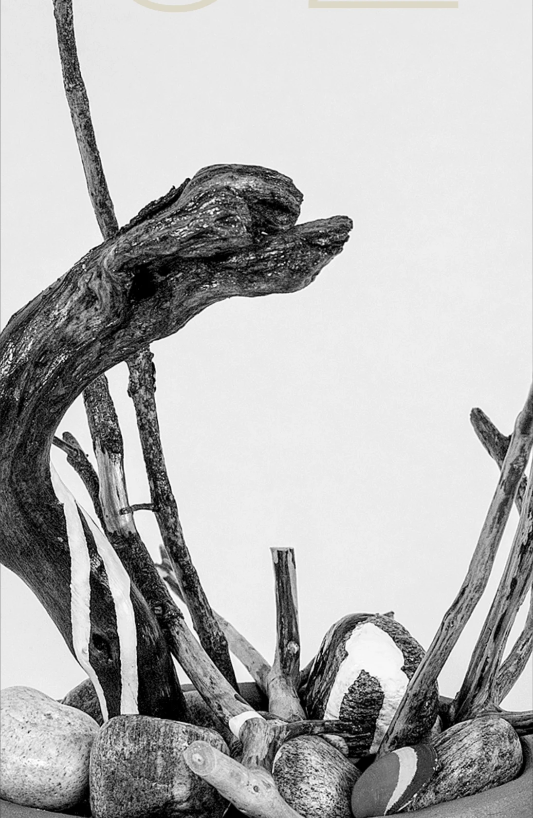 Roots — driftwood ceramic sculpture